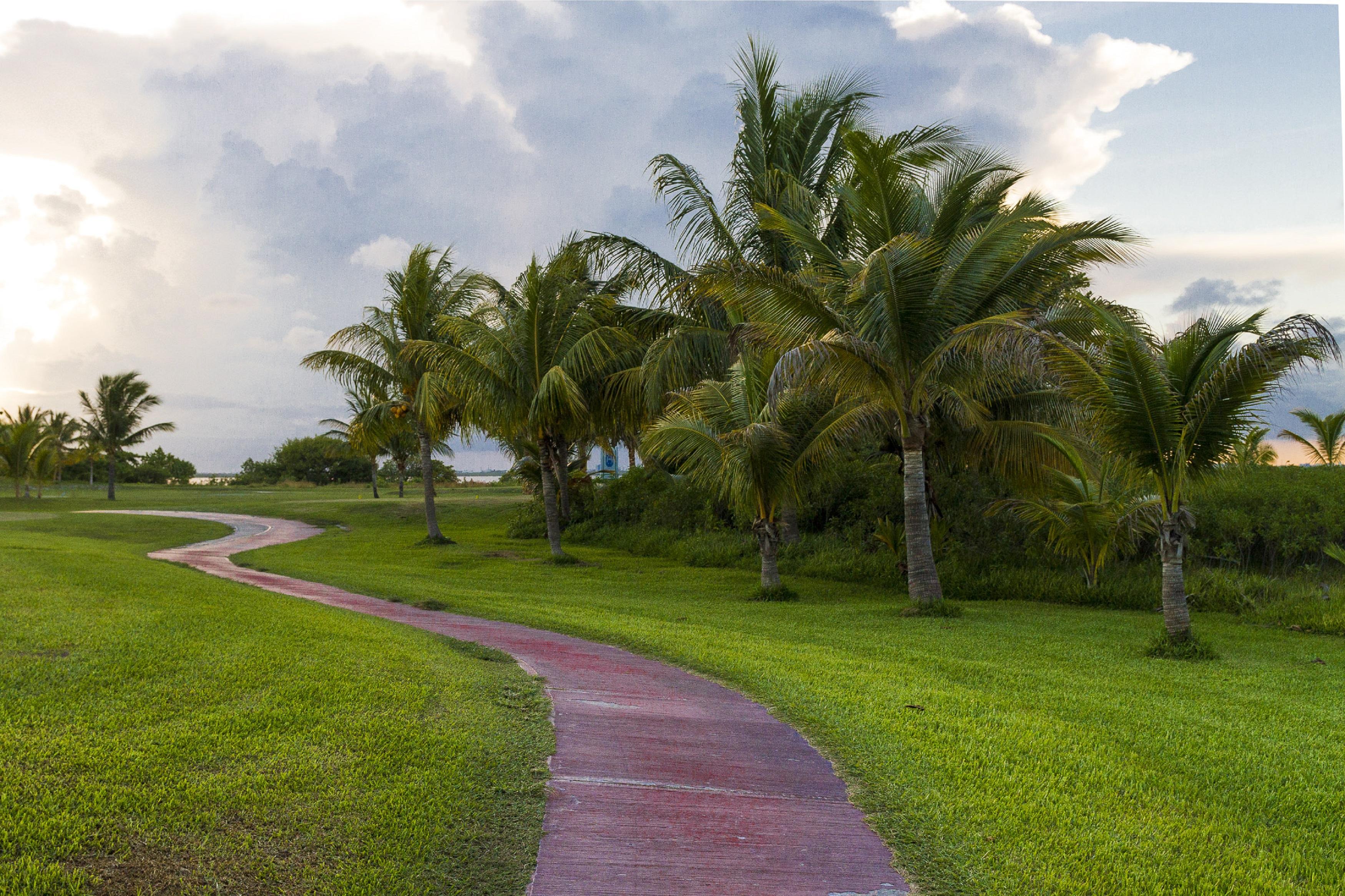 Las Gaviotas Hotel & Suites Cancun Bagian luar foto